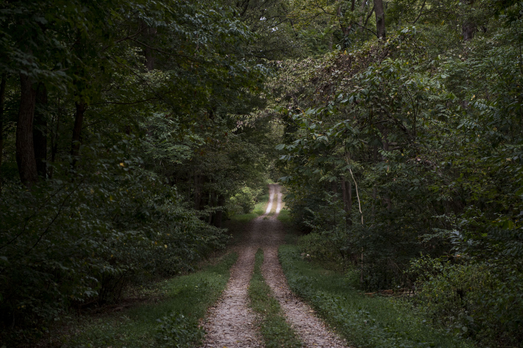 Snake Road